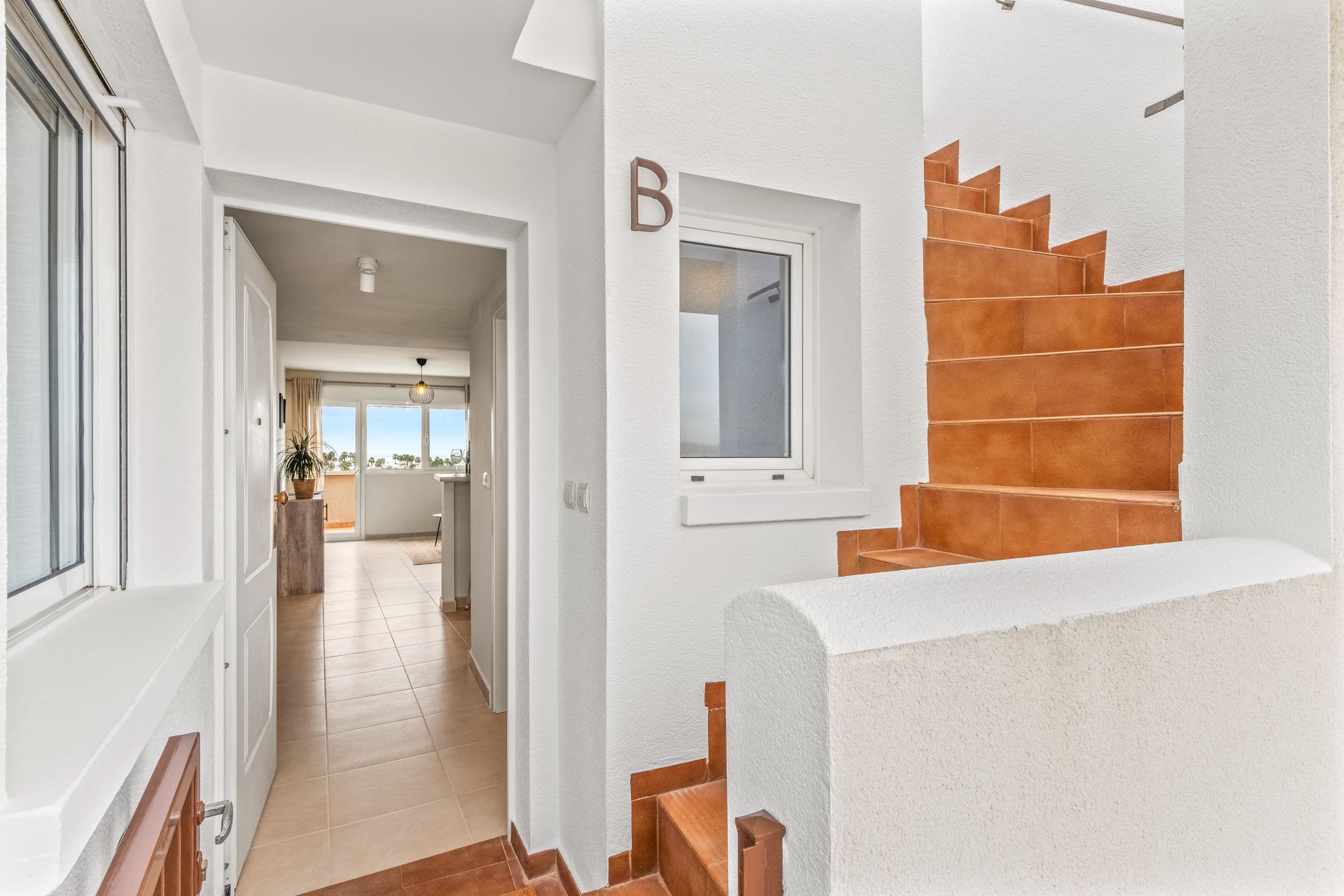 Show house
