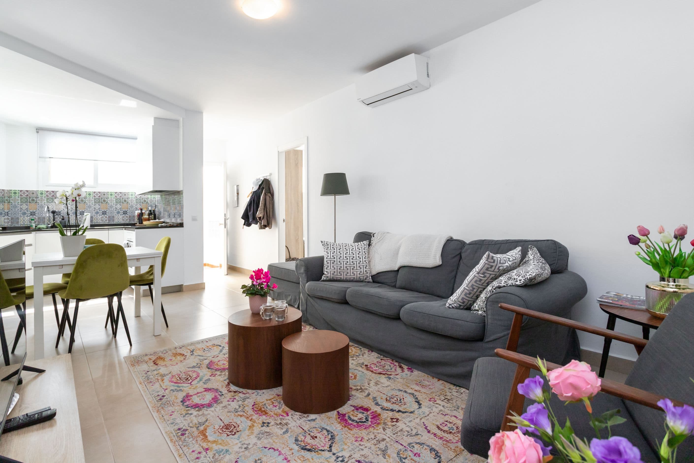 guest apartment 1