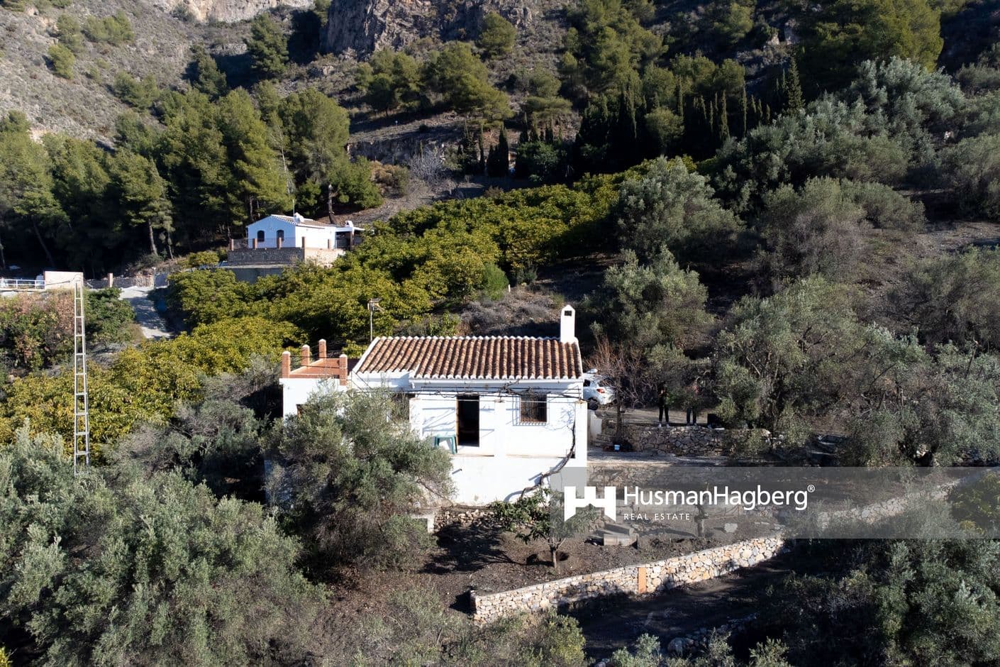 Finca utanför Frigiliana med fruktplantage