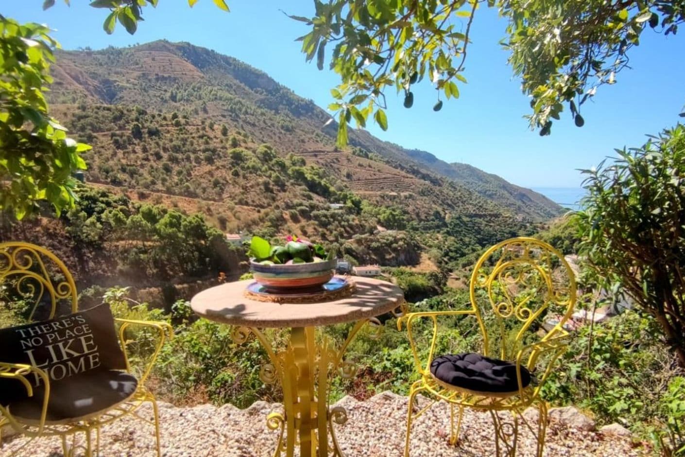 Underbar liten finca med avokadoplantage